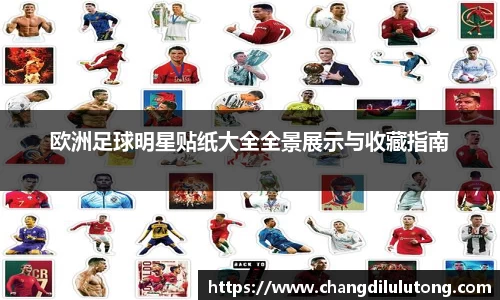 欧洲足球明星贴纸大全全景展示与收藏指南