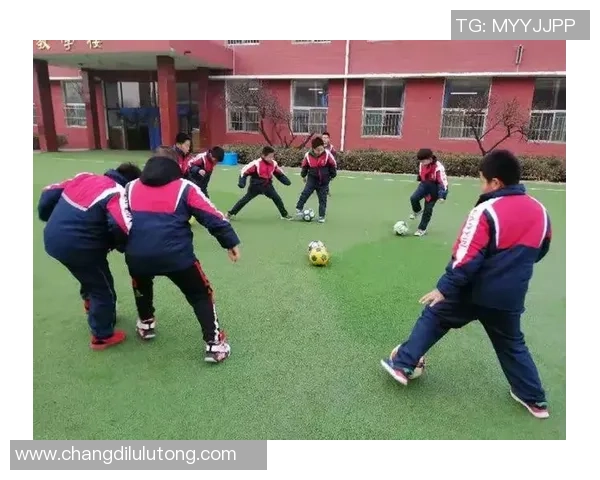 遛猴足球的奇妙世界探索人与动物共舞的乐趣与挑战