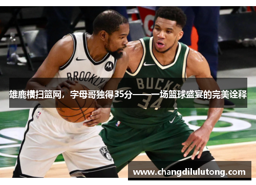 雄鹿横扫篮网，字母哥独得35分——一场篮球盛宴的完美诠释