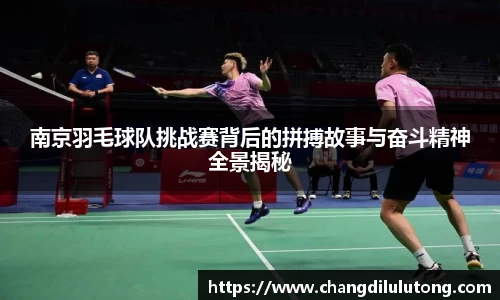 南京羽毛球队挑战赛背后的拼搏故事与奋斗精神全景揭秘