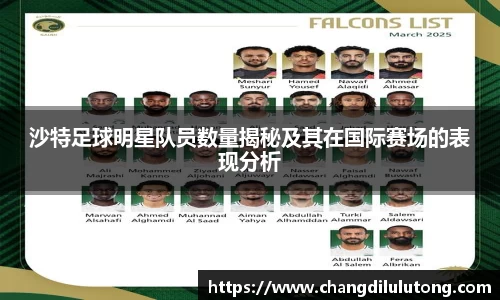 沙特足球明星队员数量揭秘及其在国际赛场的表现分析
