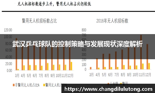 武汉乒乓球队的控制策略与发展现状深度解析